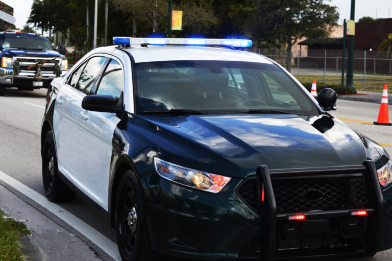 policja